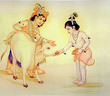 Krishna Balaram Feeding Cow