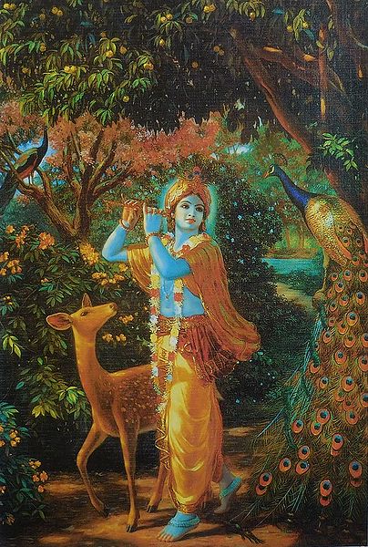 Animal Lover Krishna