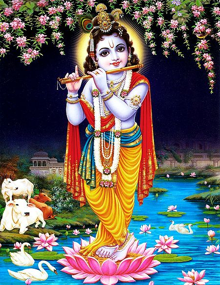 Murlidhar Krishna - Poster