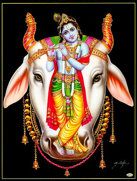 Young Krishna on Cow