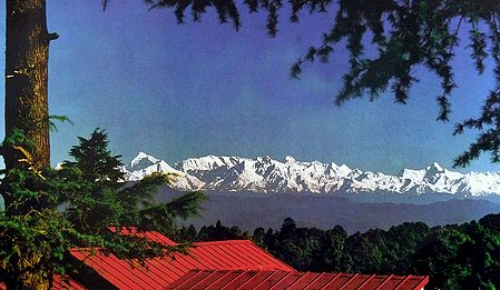 HImalayan Panorama from Ranikhet, India - Photo by Dhirendra Singh Bisht