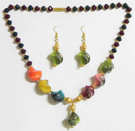 Multicolor Beaded Necklace with Earrings