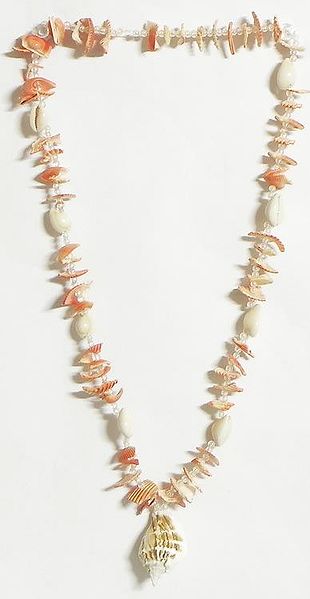 Painted Shell Necklace in Peach with White Cowrie