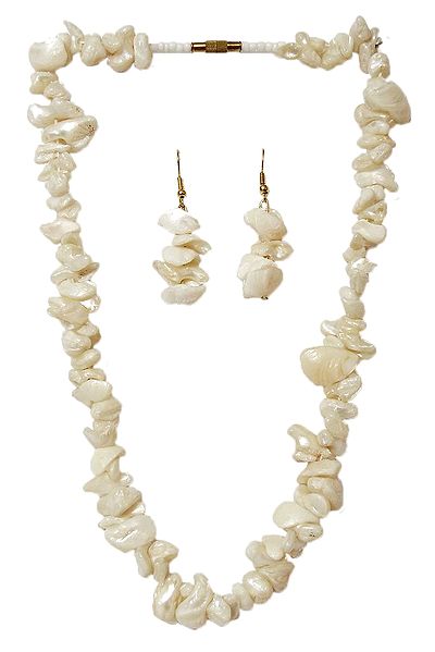 Shell Necklace in Ivory Color