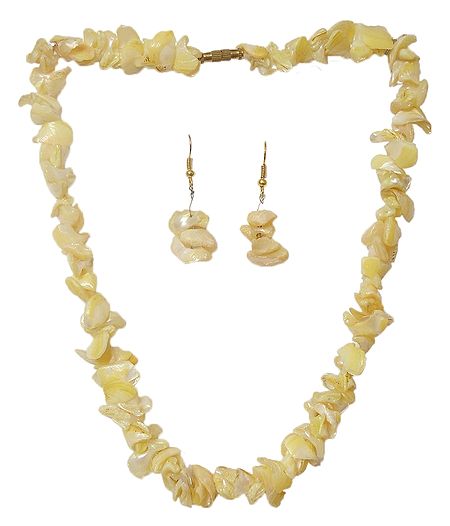 Shell Necklace in Yellow