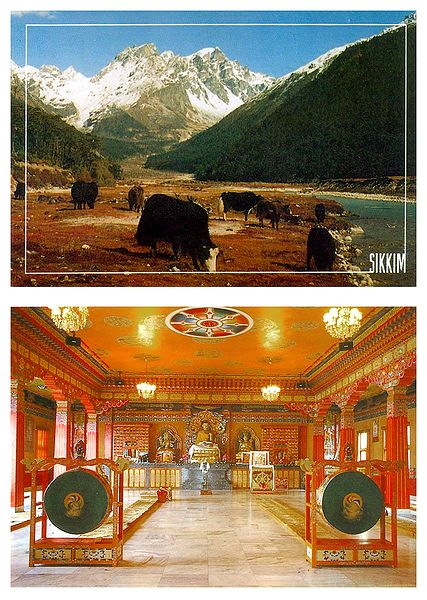 Rumtek Monastery and Yumthang Valley, Sikkim - Set of 2 Postcards