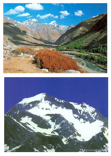 Om Parvat and Chitkul, Himachal Pradesh - Set of 2 Postcards