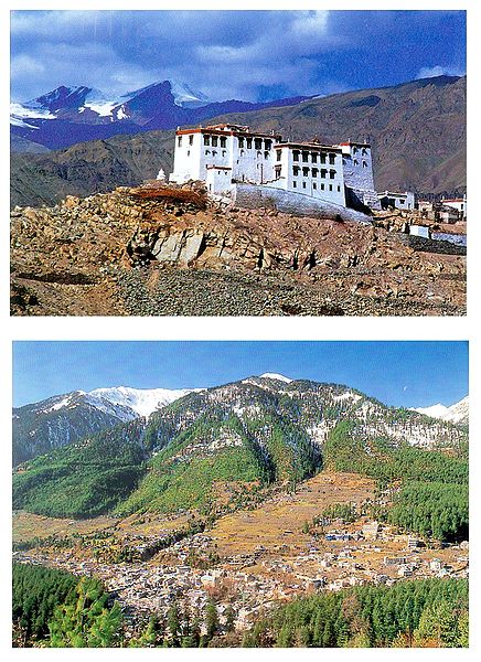 Stanka Gompa, Ladakh and Manali, Himachal Pradesh - Set of 2 Postcards