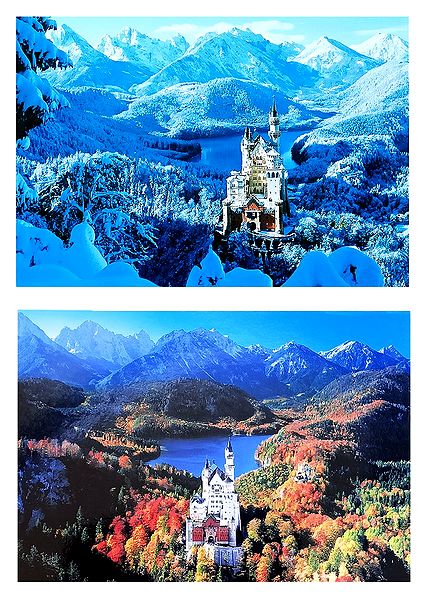 Neuschwanstein Castle in Winter and Summer, Bavaria, Germany - Set of 2 Postcards