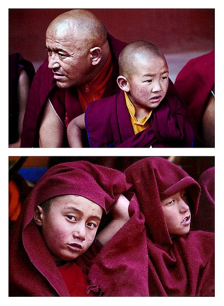 Buddhist Monks from Leh - Set of 2 Postcards