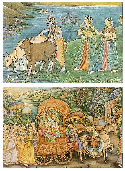 Radha Krishna with Gopinis and Cows - (Set of Two)