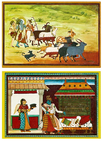 Krishna and Balaram with Cows and Secret Rendezvous of Radha Krishna - Set of 2 Postcards