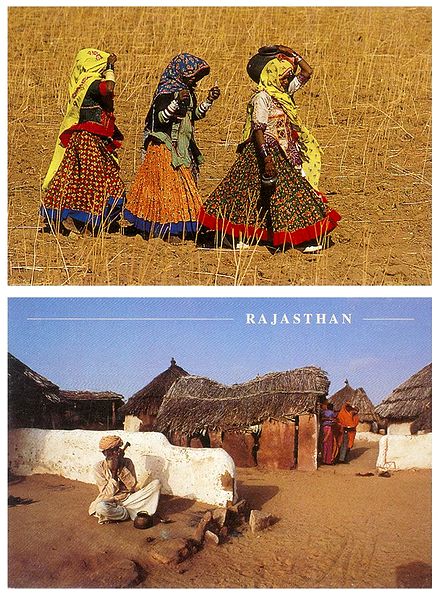 Rajasthani Women and Village - Set of 2 Postcards