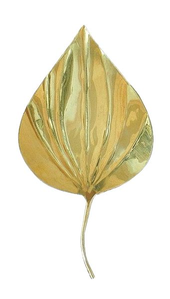 Betel Leaf or Paan Pata used in Worship of Lakshmi