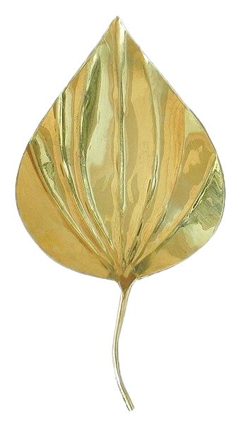 Betel Leaf or Paan Pata used in Worship of Lakshmi