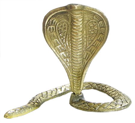 Brass Snake of Shiva
