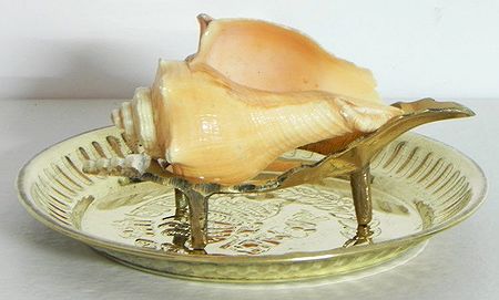 Conch On a Brass Stand