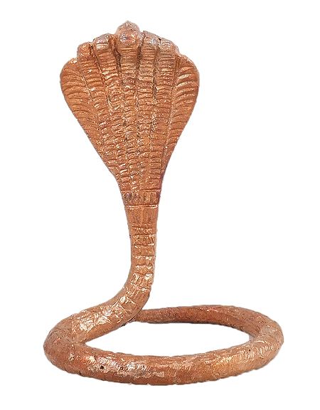 Copper Snake of Shiva