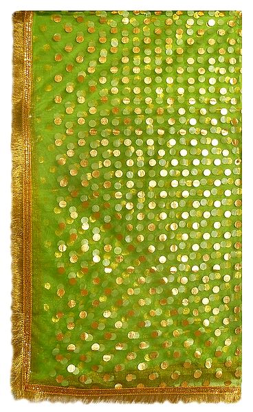 Green Net Matarani Chunni with Golden Polka Dot
