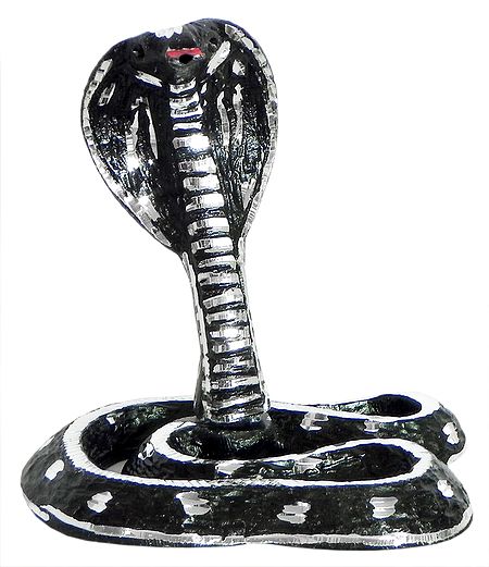 Snake of Shiva