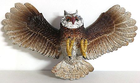 Owl - Vahana of Goddess Lakshmi