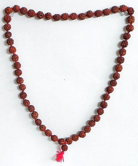 Japa Mala or Prayer Mala with 54 Rudraksha Beads
