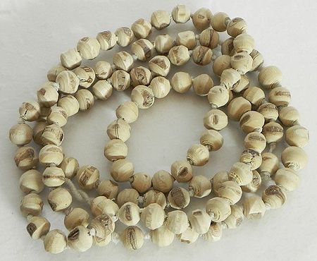 Japa Mala or Prayer Mala with 108 Tulasi Beads