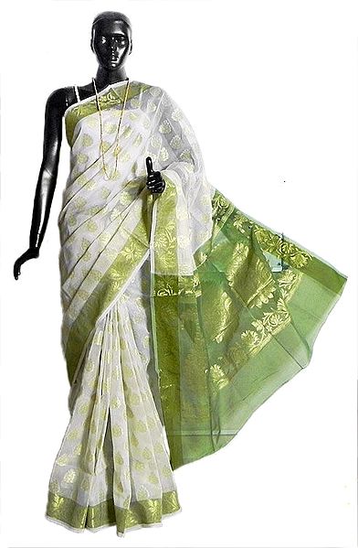 Weaved Golden Design All-Over on White Chanderi Saree with Green Border and Pallu