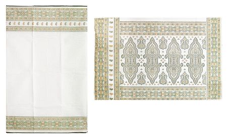 White Cotton Saree with Printed Border and Pallu