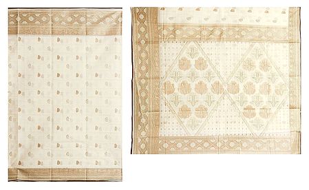 Ivory White Cotton Saree with Printed Border and Pallu