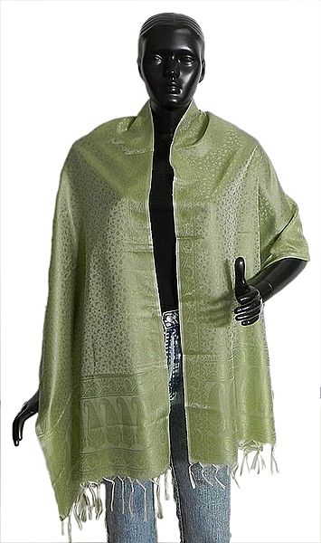 Camouflage Green with Olive Green Tanchoi Weaved Banarasi Stole