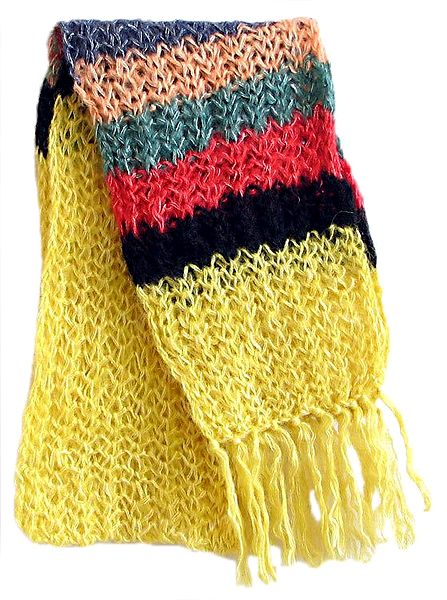 Light Yellow Scarf with Multicolor Border