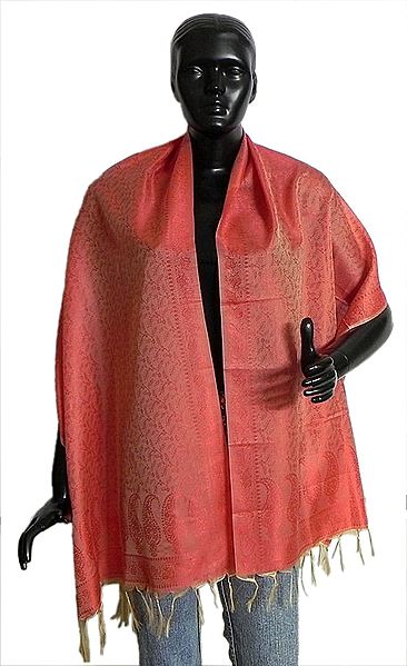 Coral Red with Red Tanchoi Weaved Banarasi Stole