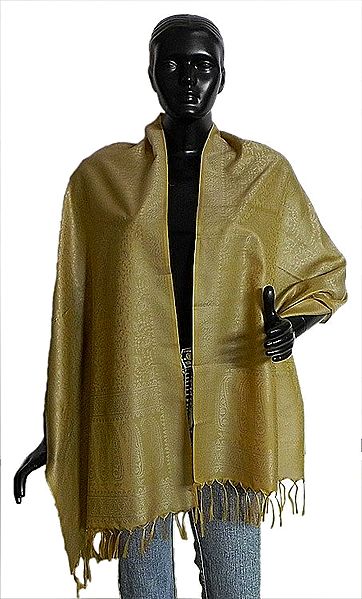 Golden Yellow with Silver Tanchoi Weaved Banarasi Stole