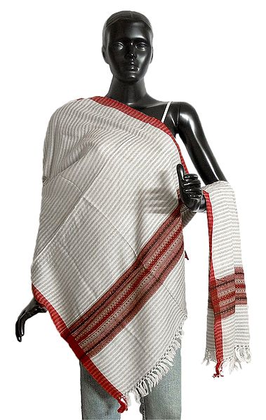 Off-White with Grey Woolen Tusha Stole with Red Border