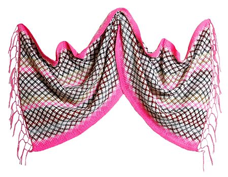 Check Design Woolen Stole with Light Pink Border