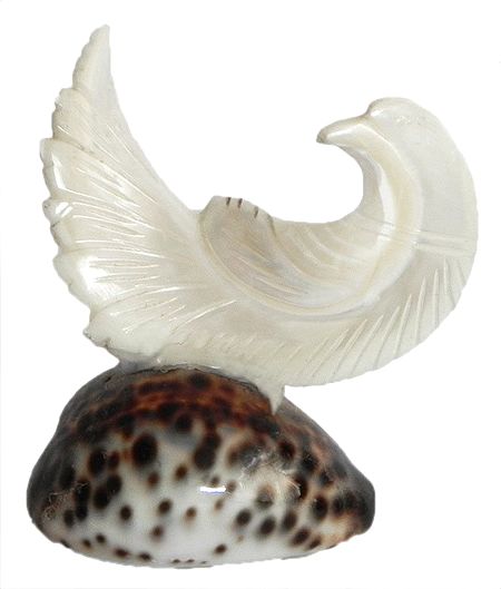 Mother of Pearl Pigeon on Cowrie