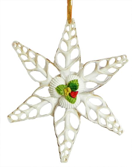 Carved Shell Star - Wall Hanging