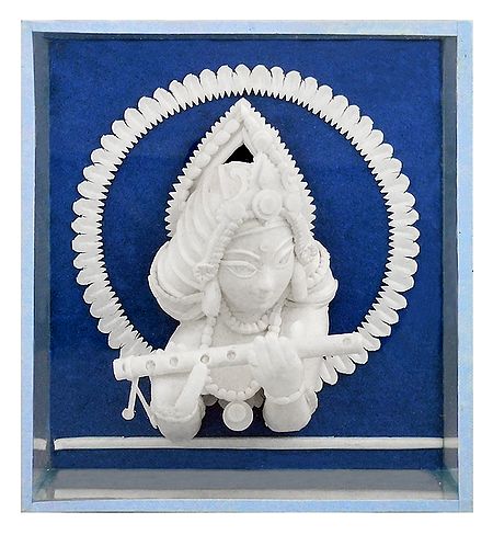 Shola Pith Krishna