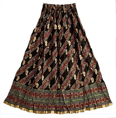 Multicolor Print on Black Long Skirt with Zari Border