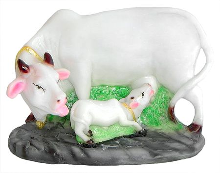 Sacred Cow with Calf