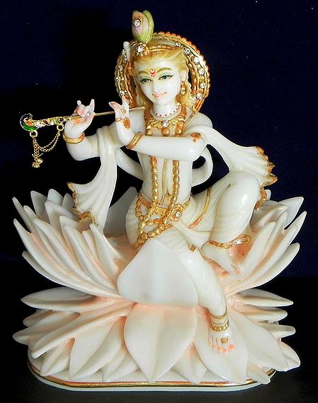 Murlidhara Krishna Sitting on Lotus
