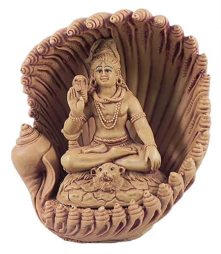 Lord Shiva inside  Conch