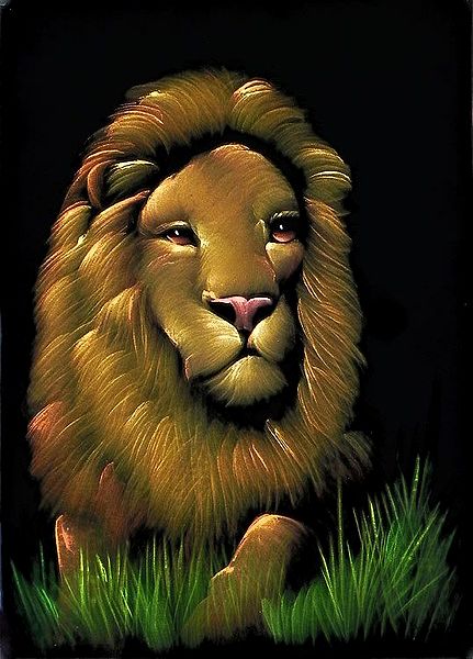 Lion - King of the Jungle