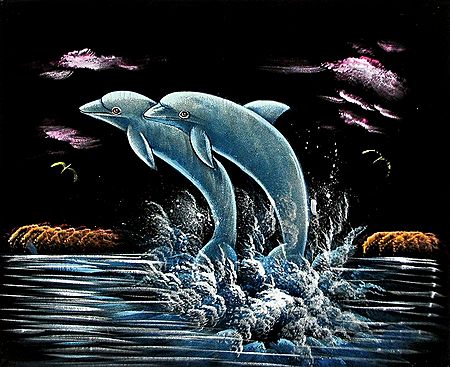 A Pair of Dolphin