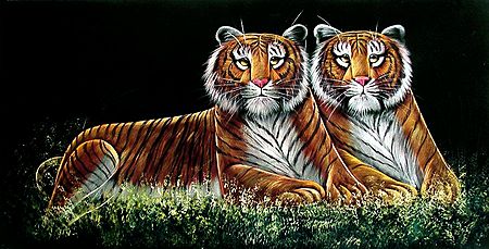 Tigers - The Royal Couple