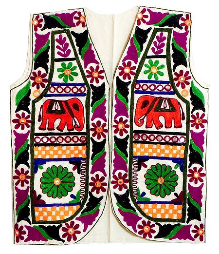Multicolor Gujrati Embroidery on Sleeveless Jacket (For Men)