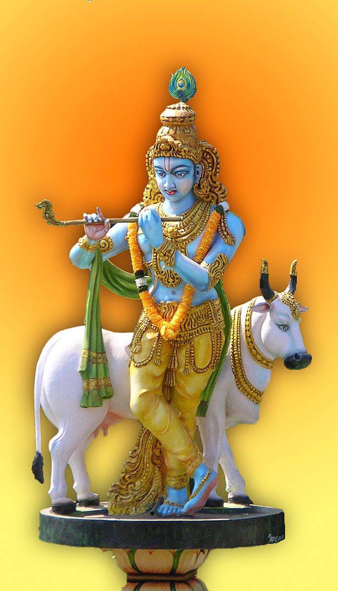 Lord Krishna with Cow - Photographic Print