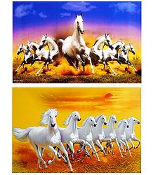 Graceful White Horses - Set of 2 Unframed Posters