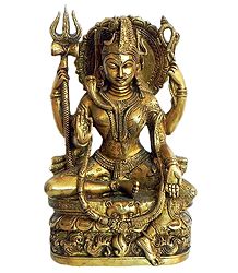 Ardhanarishvara - Brass Statue